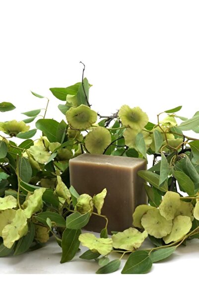 Sivilce Sabunu 100 gram