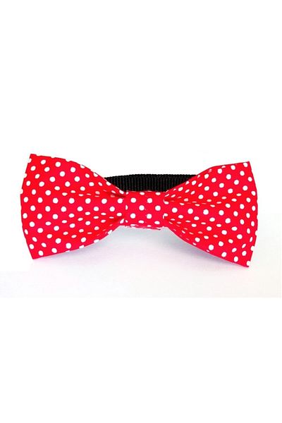 stylie Polka Dot Cat and Small Breed Dog Bow Tie, Red