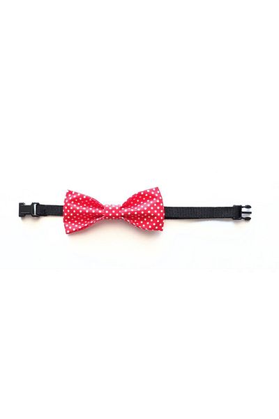 stylie Polka Dot Cat and Small Breed Dog Bow Tie, Red