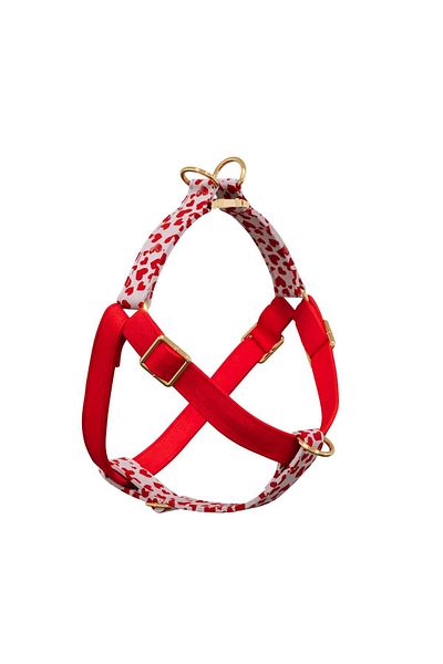 GoPawGo Charm Valentine Dog Chest Collar