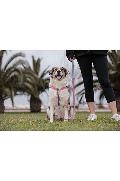 GoPawGo طقم طوق صدر للكلاب من سوبريم تشارم