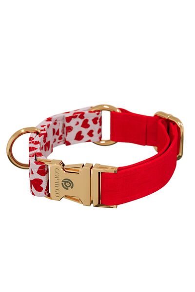 GoPawGo Charm Valentine Dog Collar