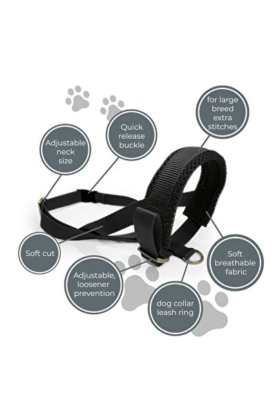 funnyandfurry Desenli Köpek Ağızlığı; Havlama ve Çekiştirme Önleyici; Köpek Ağızlık; Eğitim Tasması