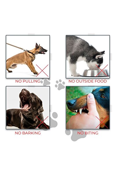 funnyandfurry Desenli Köpek Ağızlığı; Havlama ve Çekiştirme Önleyici; Köpek Ağızlık; Eğitim Tasması