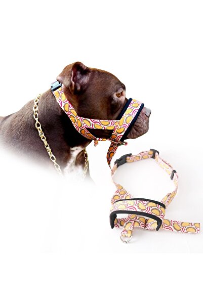 funnyandfurry Desenli Köpek Ağızlığı; Havlama ve Çekiştirme Önleyici; Köpek Ağızlık; Eğitim Tasması