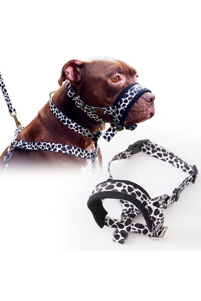 funnyandfurry Desenli Köpek Ağızlığı; Havlama ve Çekiştirme Önleyici; Köpek Ağızlık; Eğitim Tasması