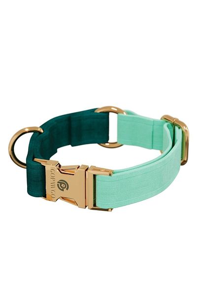 GoPawGo Charmed Shelby Dog Collar