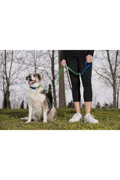 GoPawGo Charmed Jewel - Dog Collar and Walking Strap Set