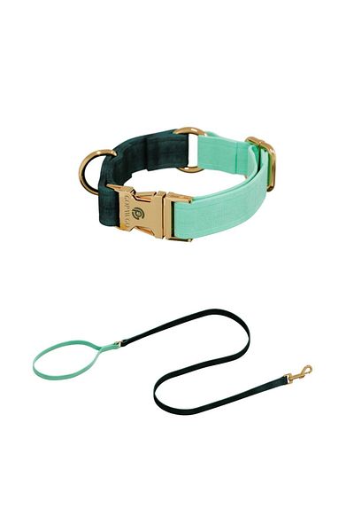GoPawGo Shelby Charm Dog Collar and Walking Strap Set
