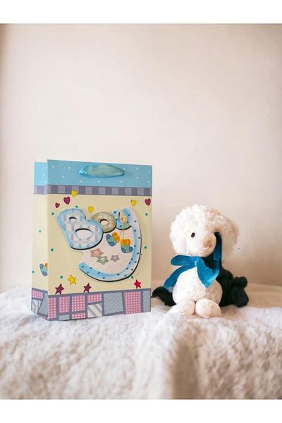 Parti Adresi Welcome Baby Baby Shower Boy Baby Cardboard Τσάντα δώρου 24x18x8 cm