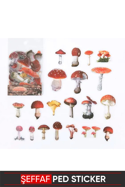 Vox Art Vintage Şeffaf Pet Sticker 4-8cm 40 adet