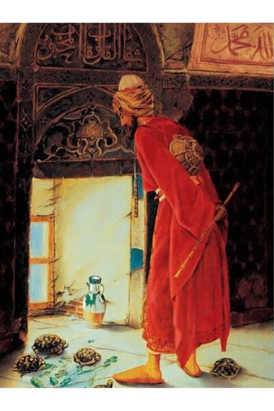 wombhobby Kaplumbağa Terbiyecisi Sayılarla Boyama Seti 40x50 Cm (tuvale Gerili)