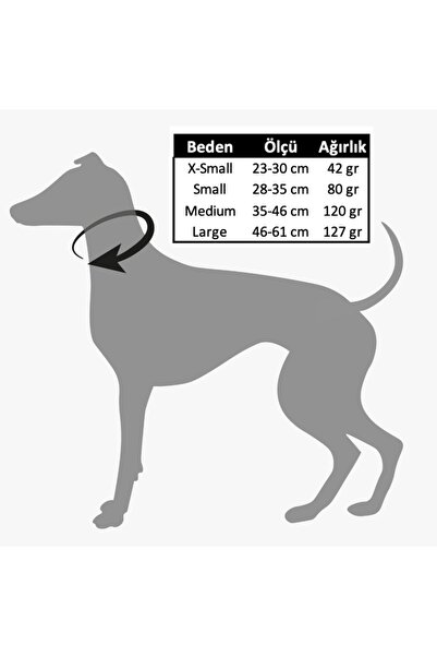 GoPawGo Charmlı Shadow Köpek Boyun Tasması Ve Gezdirme Kayış Seti