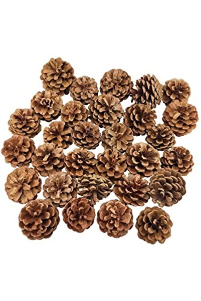 Aker Hediyelik 40lı Sağlıklı Dekoratif Çam Kozalakları Dekor Kozalak Satın Al...