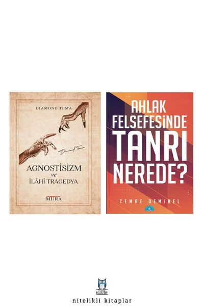 İstanbul Yayınevi Agnostisizm ve İlahi Tragedya - Ahlak Felsefesinde Tanrı / Cemre Demirel