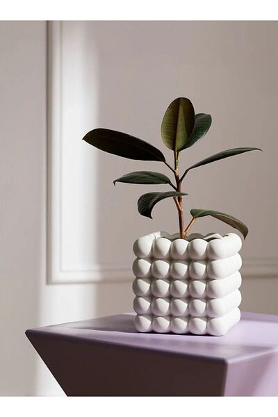 SOOA Kare Bubble Beyaz Saksı