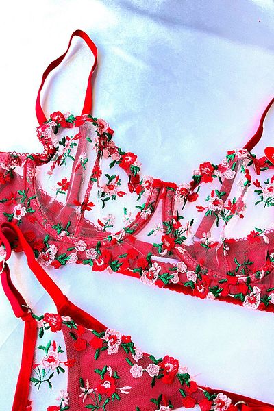 Madame Mercy Red mini floral bra set