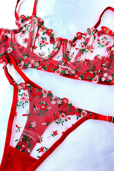 Madame Mercy Red mini floral bra set