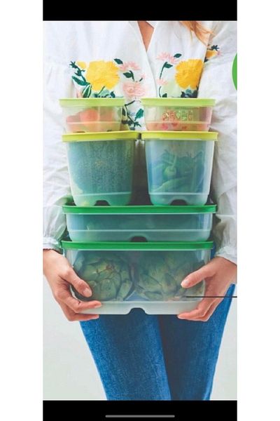Tupperware Greenhouse Set of 6