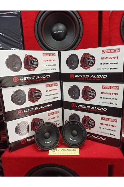 Reiss 13 Cm 300 Wat 130 Arms Midrange