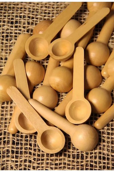 Orvila Set of 6 Wooden Small Scale Oval Spice Spoons