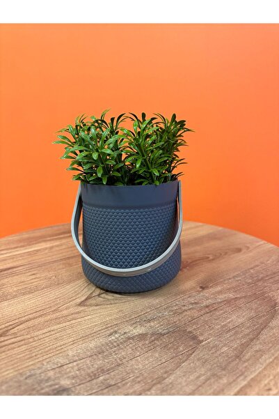 618 CONCEPT Decorative Basket Artificial Plant Pot