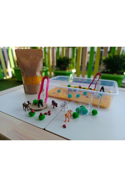 MUCİT KİDS Sensory play set with forest animals theme (2-5 years) - montessori toy