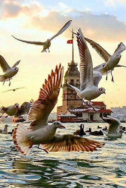 hediyeniburadabul Poster din lemn cu design Turnul Fetelor