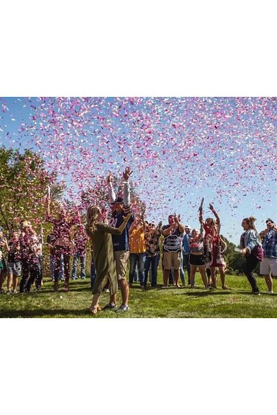 Parti Adresi Gender Confetti Girl