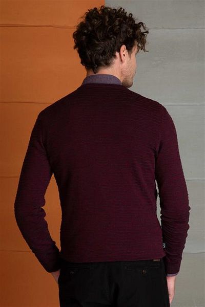 Pierre Cardin P.Cardin 670021   Model Sweater