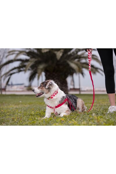 GoPawGo Valentine's Day - Charm Dog Chest Collar Set