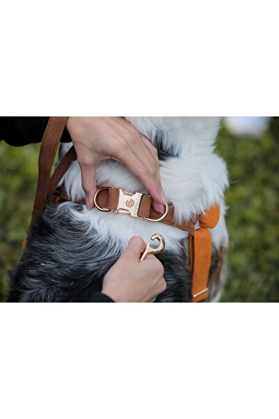 GoPawGo Charmlı Harlowe Köpek Göğüs Tasma Seti