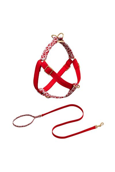 GoPawGo Valentine's Day - Charm Dog Chest Collar Set