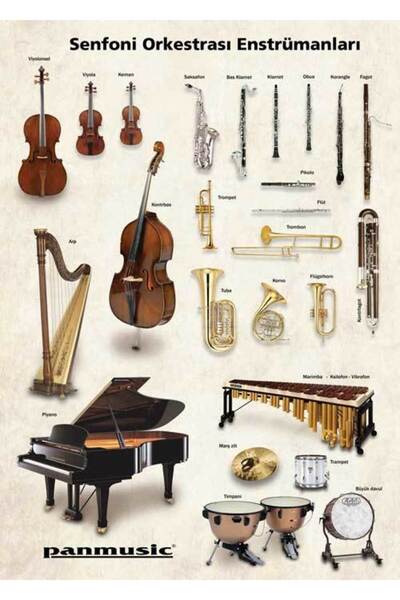 Panmüzik SENFONİ ORKESTRASI ENSTRUMANLARI POSTERİ