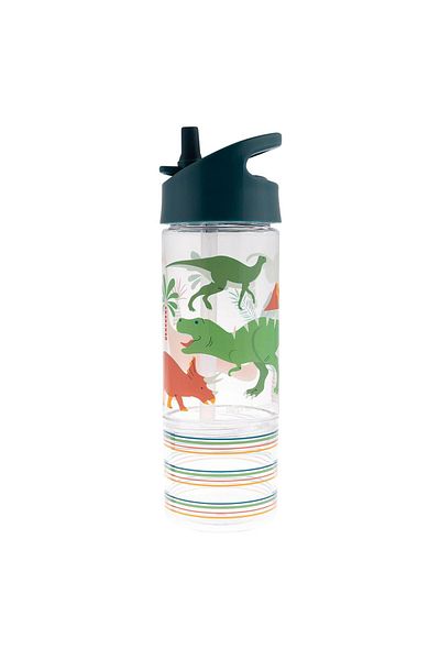 Stephen Joseph Dinosaur Patterned Snack Compartment Drinker