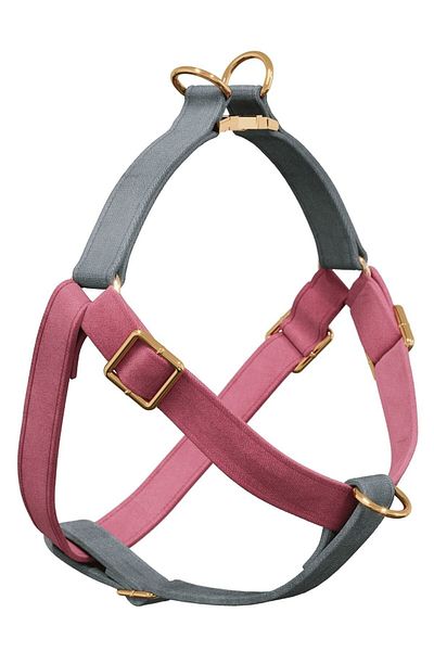GoPawGo Charmed Supreme Dog Collar