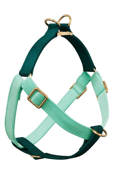 GoPawGo Charmed Shelby Dog Chest Collar