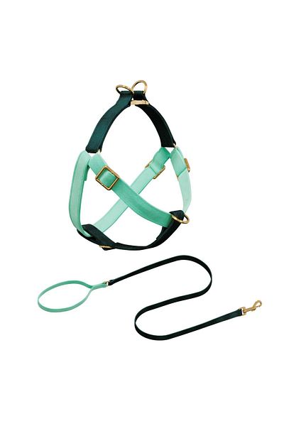 GoPawGo Shelby Charm Dog Chest Collar Set