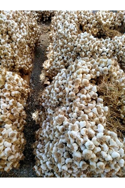 Genel Markalar Doğal Kastamonu Taşköprü Sarımsak 1 Kg Yerli Üretim Yerli Tohum