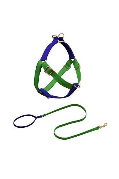 GoPawGo Charmed Jewel Dog Chest Collar Set