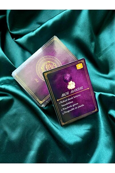 Isabella Tarot ve Yayıncılık Hale Oracle Kartları Tarot