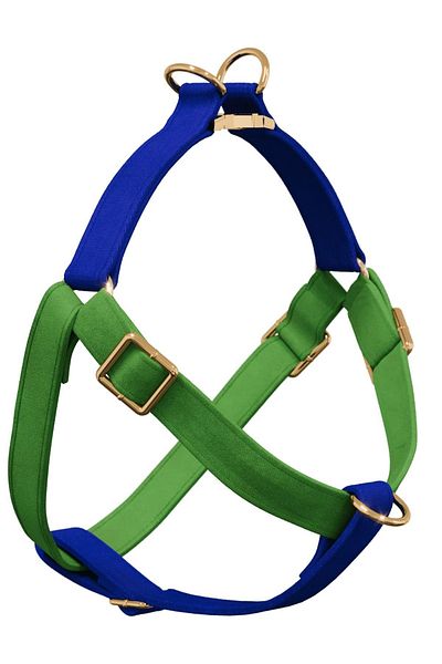 GoPawGo Charmed Jewel Dog Collar