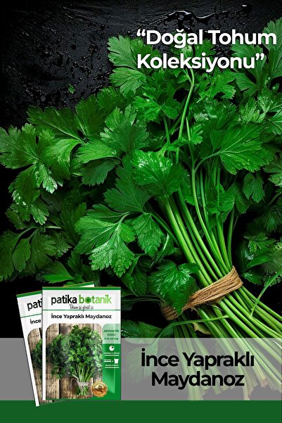 Patika Botanik 2500 Adet İnce Yapraklı Maydanoz Tohumu