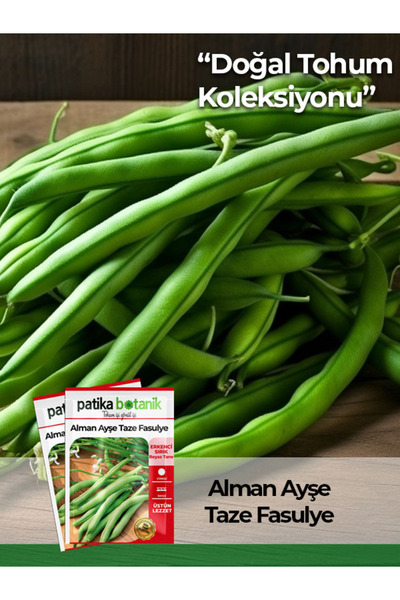Patika Botanik 50 Adet Alman Ayşe Tipi Sırık Fasulye Tohumu