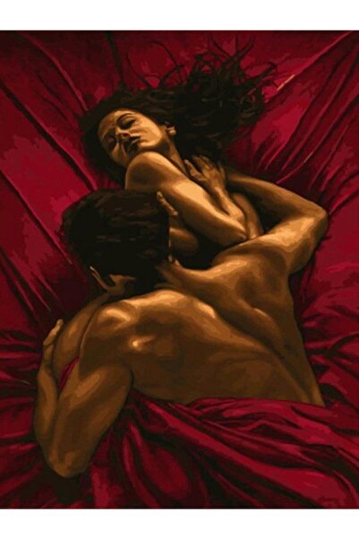 wombhobby Sıcak Yatak Sayılarla Boyama Seti 40x50 Cm (tuvale Gerili)