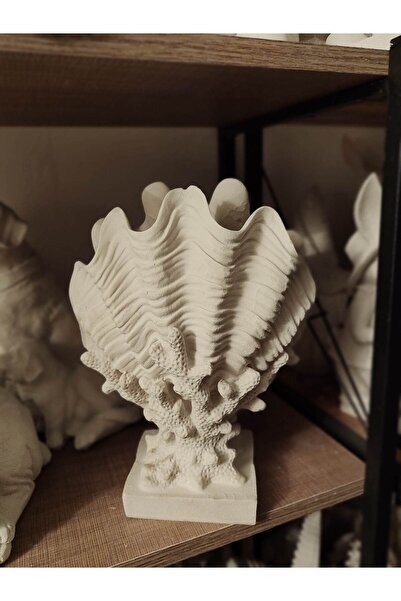 BilgeCe hoMe Boyasız Ham Ağzı Kapalı Deniz Kabuğu Heykeli, Boyasız Deniz Kabu...