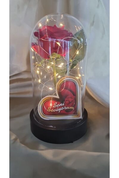 Sosyete shop جرة الجرس LED هدية عيد الحب