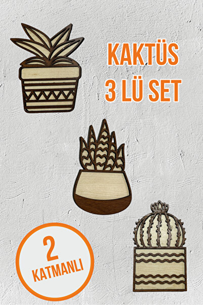 Bir Reklam Dekoratif 3'lü Kaktüs Ahşap Ev Dekorasyonu