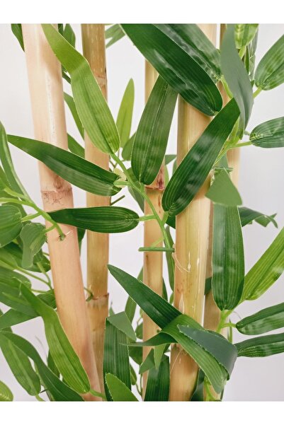 ERHAN FLOWERS 50 Cm Yapay Islak Doku Dekoratif Yapay Bambu 25 Adet