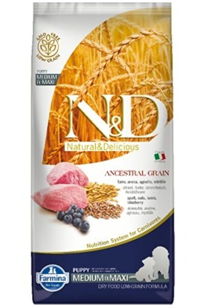 N&D Nd Düşük Tahıllı 12 Kg Medium & Maxi Kuzulu Yaban Mersinli Puppy Yavru Köpek Maması